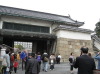 京都・二条城(4/13)
