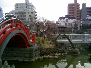 100125_114639a.jpg