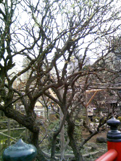 100125_114717a.jpg