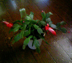 100126_111853.jpg