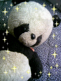 080621_080354.JPG