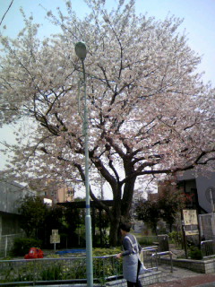 100409_100611.JPG