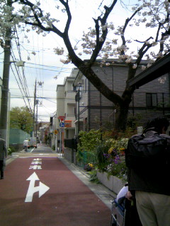 100420_102246.JPG