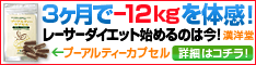 234&times;60_1（PC）