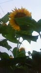 200907231757000.jpg