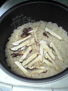 ピアノ弾きのひとりごと-091105_2005~01.JPG