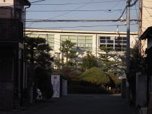 ピアノ弾きのひとりごと