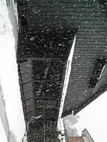 ピアノ弾きのひとりごと-100218_1035~01.JPG