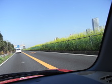 ピアノ弾きのひとりごと