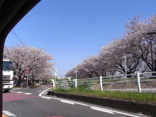 ピアノ弾きのひとりごと