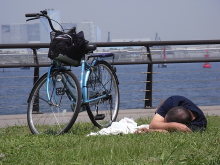 ピアノ弾きのひとりごと