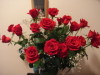 薔薇