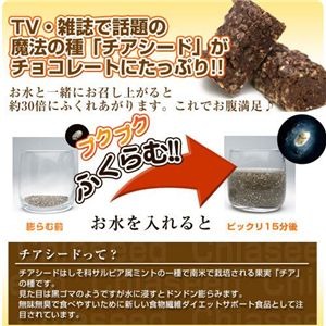チアチョコリッチ