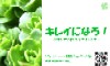 キレイになろ！-スキンケアとアンチエイジング-